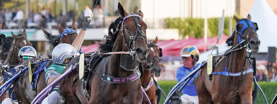 Deutsches Traber Derby Days of Thunder siegt BerlinsportAktuell